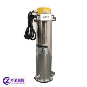 經典款臭氧毀滅器、臭氧尾氣處理器